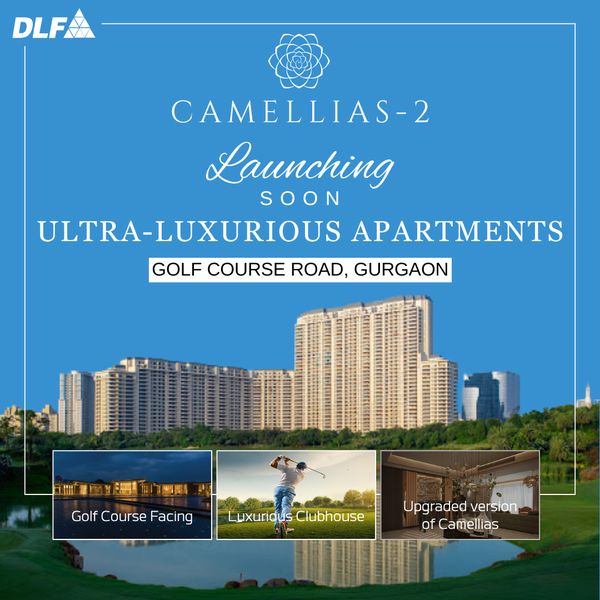 dlf camellias 2 social media image