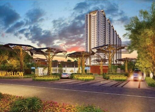 tulip new launch sector 70 gurgaon